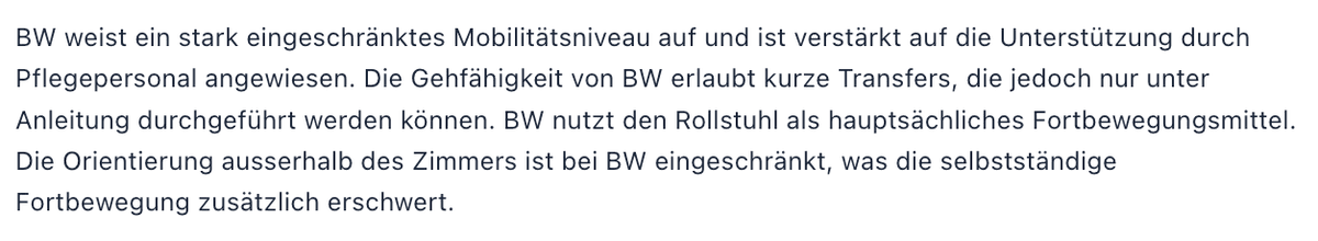 4. KI-Resultat (RAI-konform)